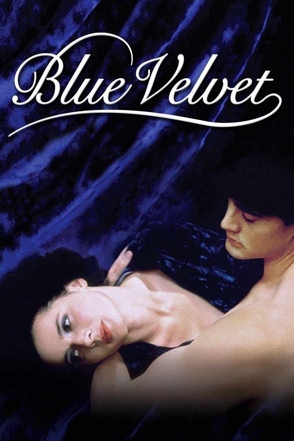 Blue Velvet.JPG