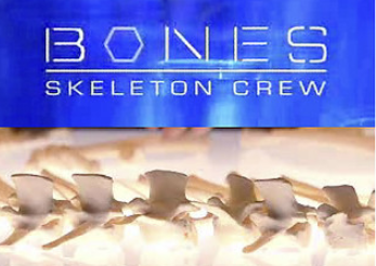 BonesSkeletonCrew-TitleCard.png