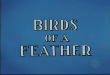File:Birds of a Feather title screen.jpg