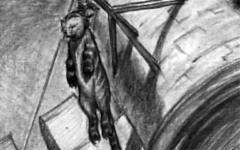A hanged cat. Is this the Cheshire Cat hanging around?