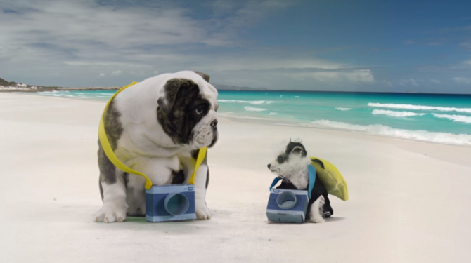 File:Nick Jr. Puppies Doggie Days of Summer Characters.png