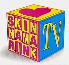 File:Skinnamarink TV.jpg