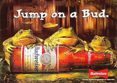 Budweiser Frogs.jpg