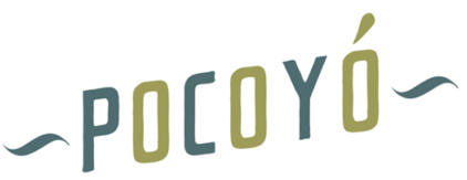 Pocoyo logo.png