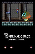 A castle level with a Mega Goomba, a boss in the final game.