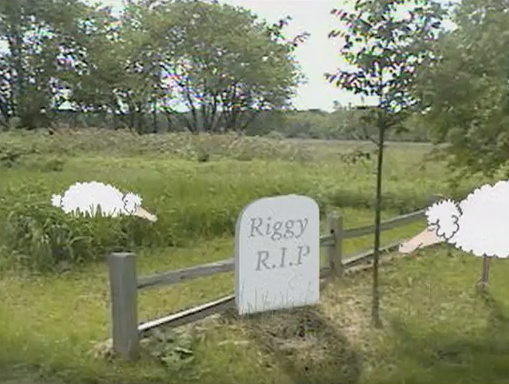 File:Riggy Headstone.PNG