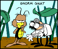 File:Gnorm doctor.gif