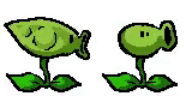 A gif featuring 2 beta designs for Peashooter seen in the 2006 Insaniquarium DX build, the first one harboring a more Peapod-like design than the second one.