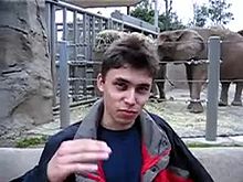 220px--Me at the zoo.webm.jpg