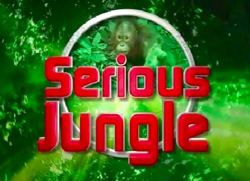 Serious jungle logo.jpg