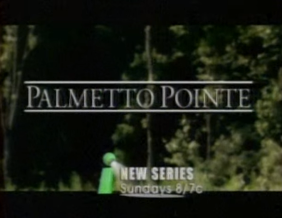 Palmetto Pointe title.png
