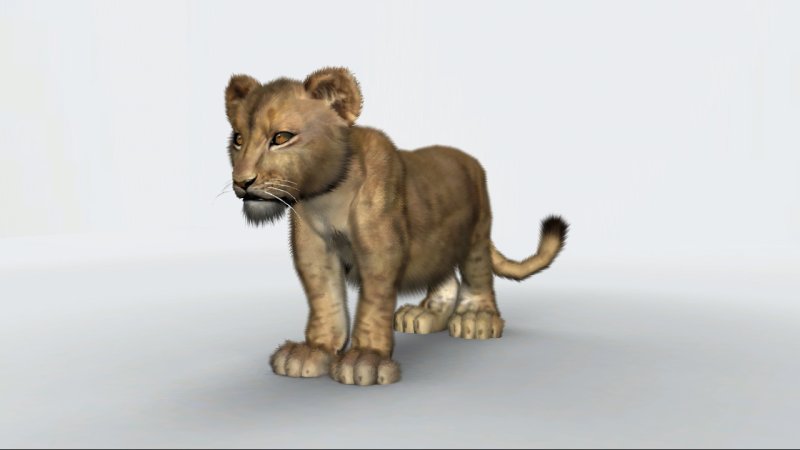 Lion cub1.jpg