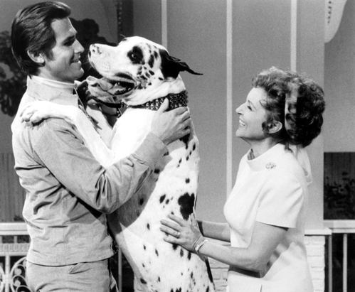 The Pet Set - The Pet Set (found Betty White talk show; 1971-1972)