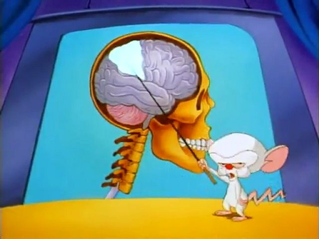 Brainstem (preview version) - Brainstem (found preview version of "Pinky and the Brain" song; 1995)