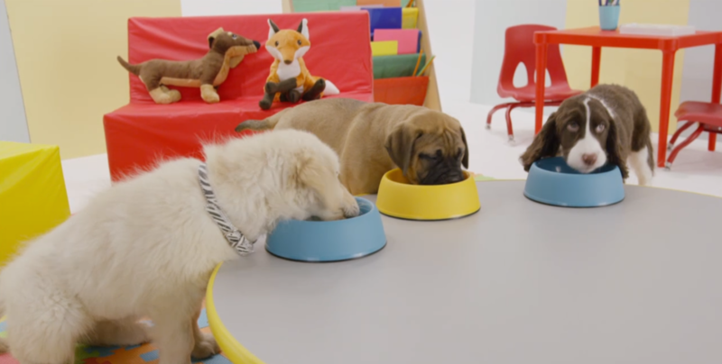 File:Nick Jr. Puppies CJ and Pete - Snack Time.png