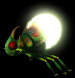 A 3D character model for a bug.