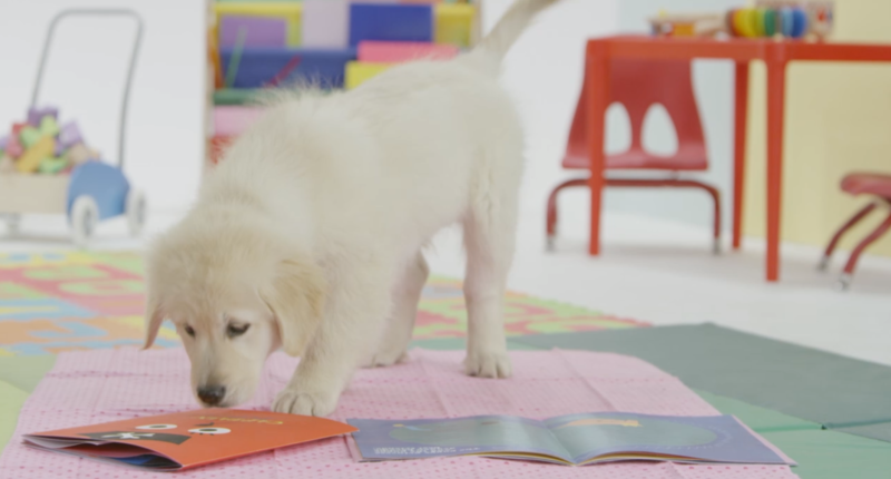 File:Nick Jr. Puppies CJ Story Time with the Pups.png