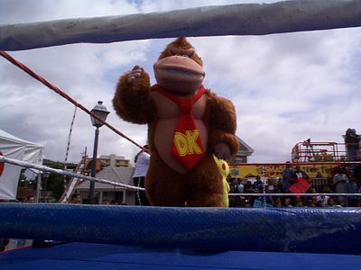 Full-color image of Donkey Kong, shown in the book The Ultimate History of Video Games.