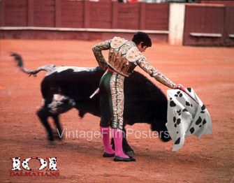 101 bullfight.jpeg