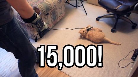 "15K SUBS! THANK YOU! So here’s a video of my cat!" thumbnail