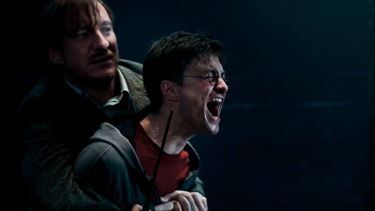 Harry Potter fan mistakes fanfic for 'Order of Phoenix