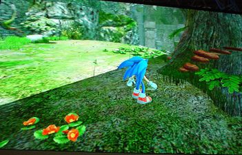 Sonic standing next to a tree with mushroom's on it.