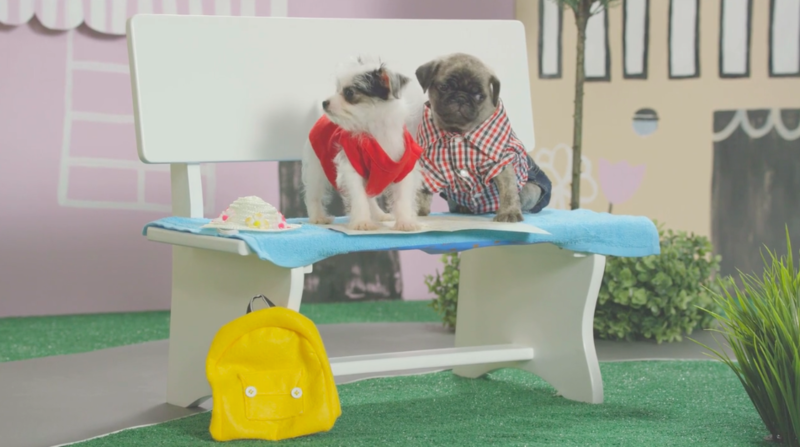 File:Nick Jr. Puppies Unnamed Dogs.png