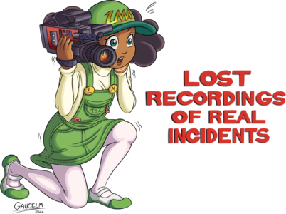 LMW-tan presents the recordings of real incidents!