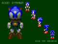 A full 3D model of Sonic.
