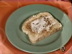 Cinnamon Toast (340)