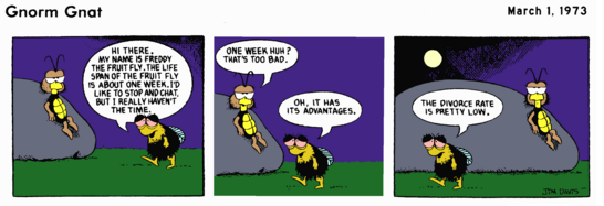 Colorization work by LMW user Connor64 on the first Gnorm Gnat comic strip.