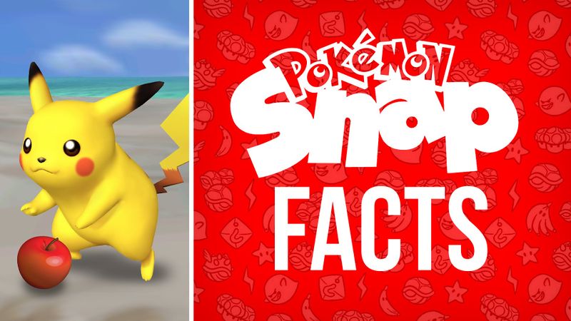 File:Pokemon Snap - Mildly Interesting Facts (2).jpg