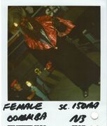 Polaroid of a Female Goomba.