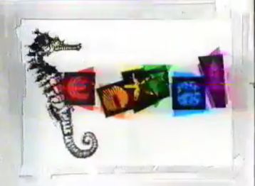 First frame of "Seahorse" ident from c.1994.