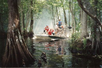 Further filming in the Florida Everglades