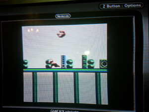 Screenshot of the Game Boy version uploaded in the NintendoAge.com forum thread on October 26, 2014.