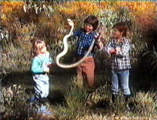 Still from the series.