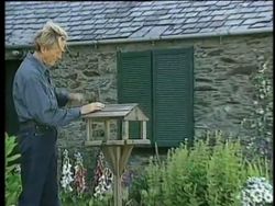 Burnett building a birdhouse (From the Behind the Scenes German DVD release).